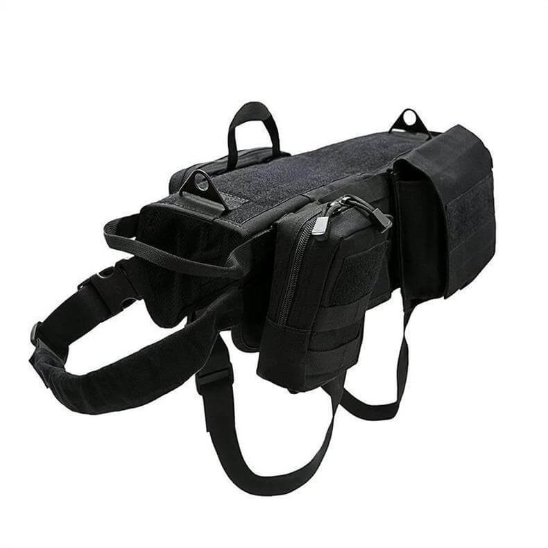 Close-up of black adjustable dog harness – heavy-duty nylon build