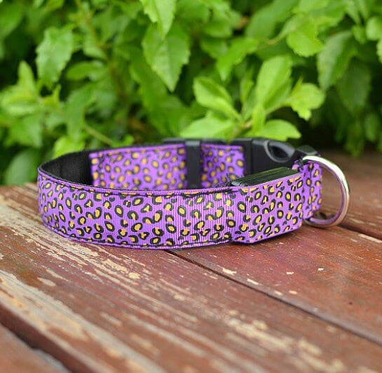 LED Dog Safety Collar.