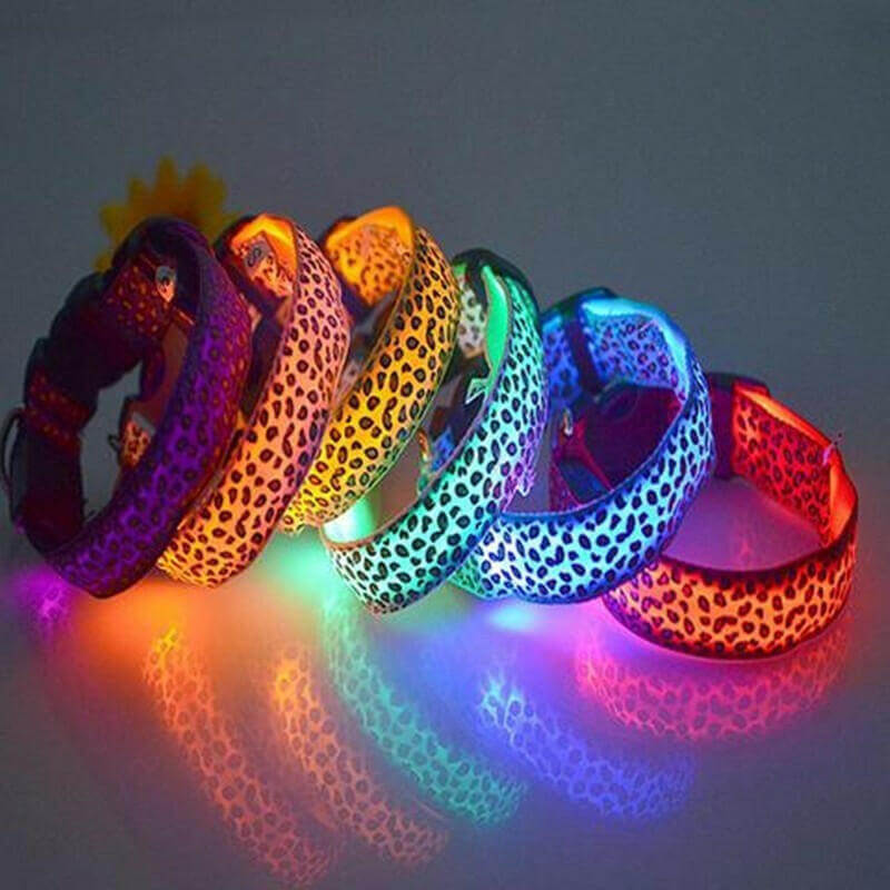 LED Dog Safety Collar.