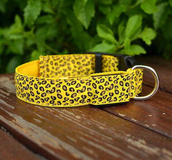 LED Dog Safety Collar.
