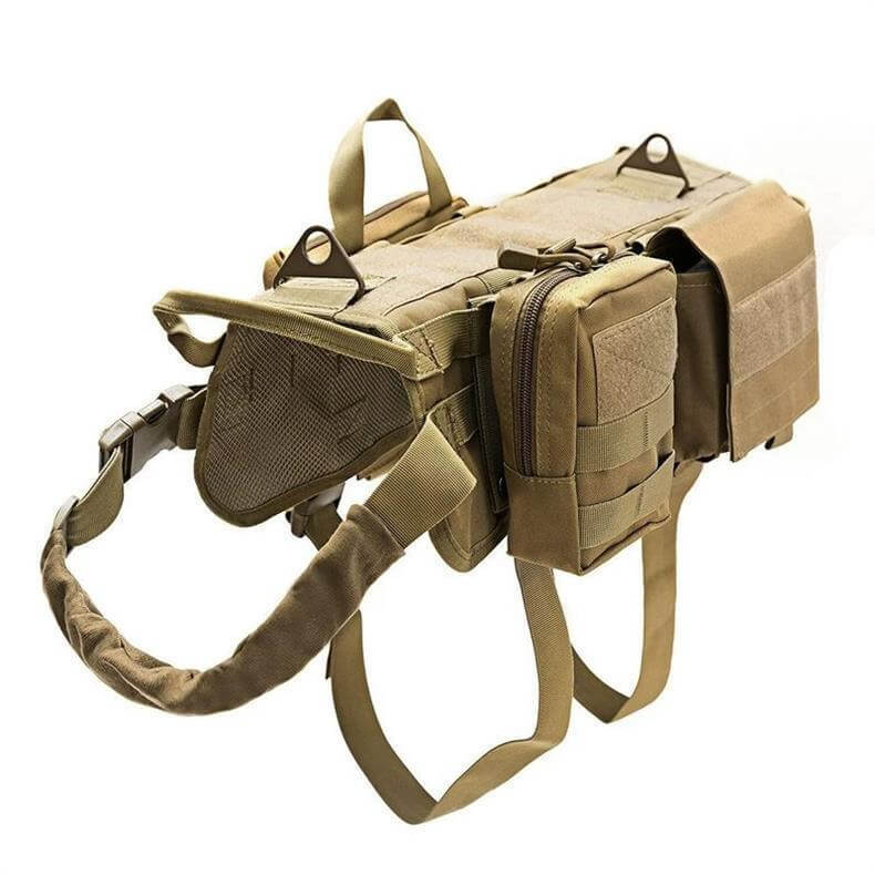 Dog in tan MOLLE vest – outdoor training gear for large dogs