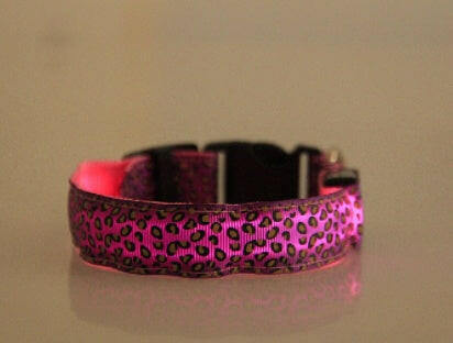 LED Dog Safety Collar.