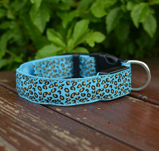 A dog safety collar with LED lights featured in multiple colors, shown in a dark setting to highlight the illumination.