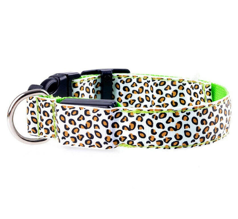 A dog safety collar with LED lights featured in multiple colors, shown in a dark setting to highlight the illumination.