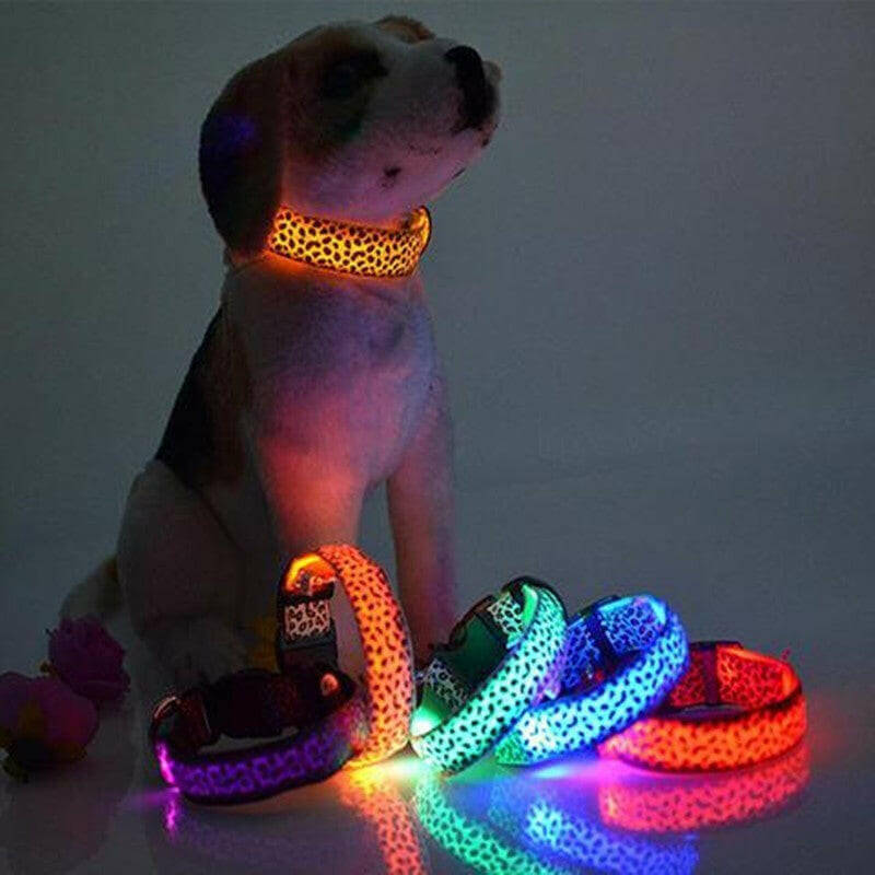 LED Dog Safety Collar.