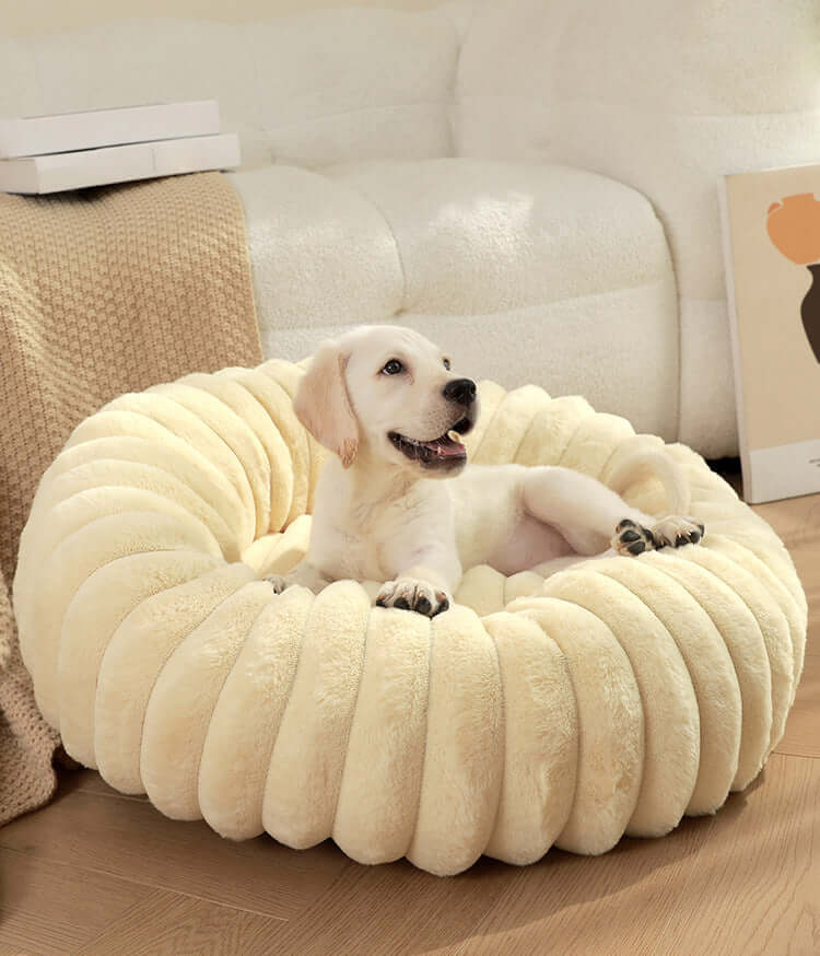 Warm & Stylish Pet Bed – Premium Quality for Cats & Dogs