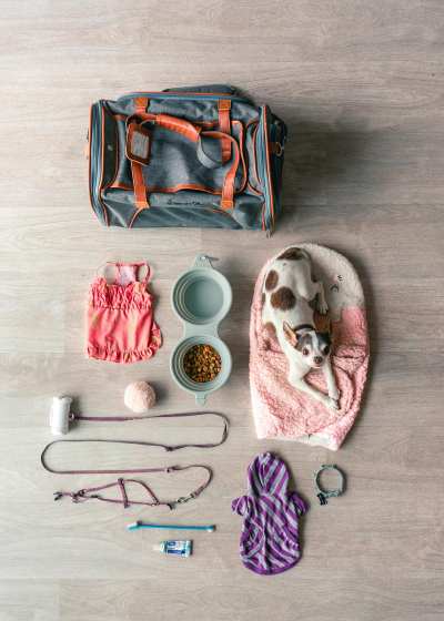 Pet travel essentials including bag, leash, food bowls, blanket, and dog accessories neatly arranged