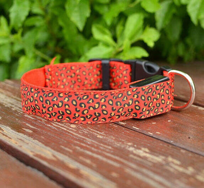 LED Dog Safety Collar.