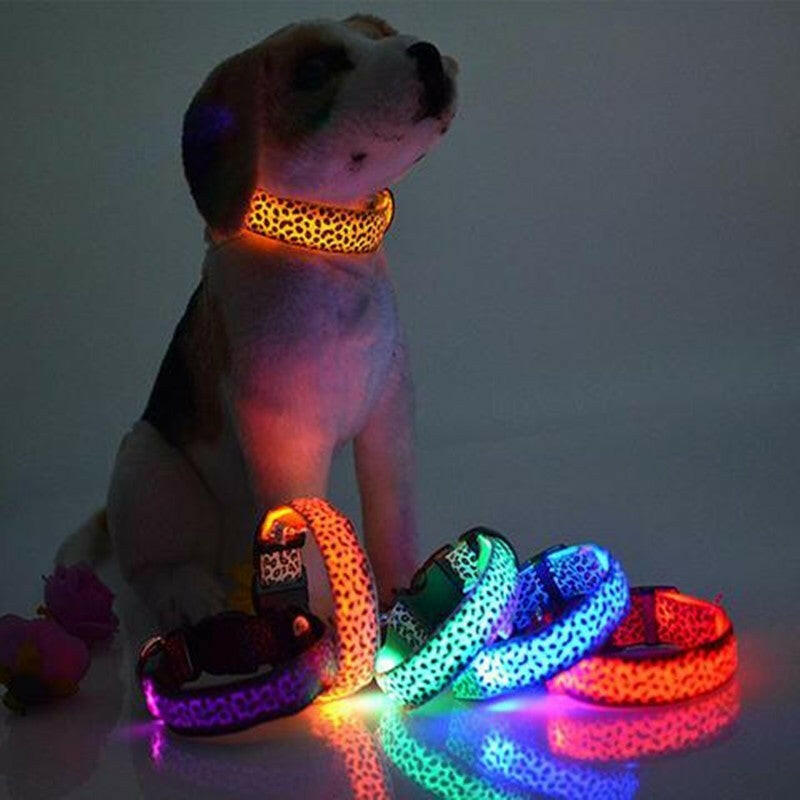 LED Dog Safety Collar - Anazones