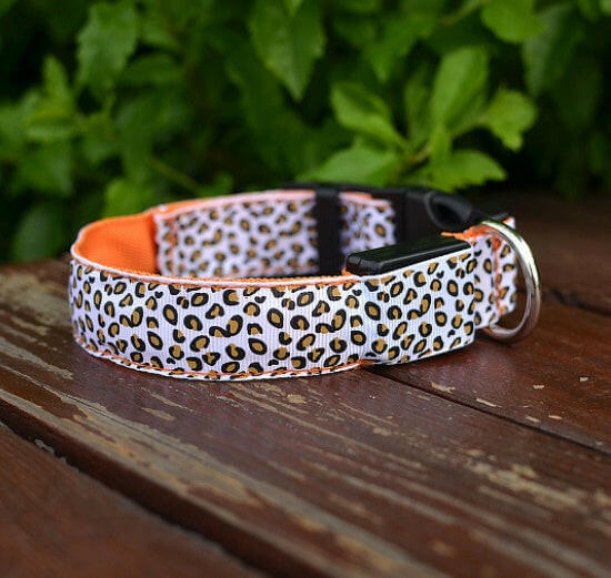A dog safety collar with LED lights featured in multiple colors, shown in a dark setting to highlight the illumination.