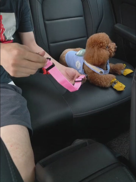 Adjustable Pet Car Seat Belt